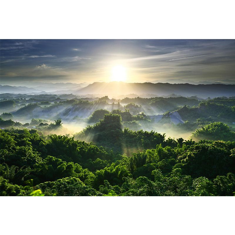 Big Scenery Wallpaper Mural Modern Aerial View of Sun Shines Across Forest Wall Decor in Green