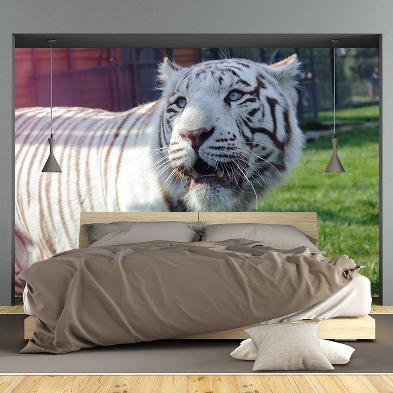 Tiger Jungle Animal Mural Decal Modern Mildew Resistant for Sitting Room