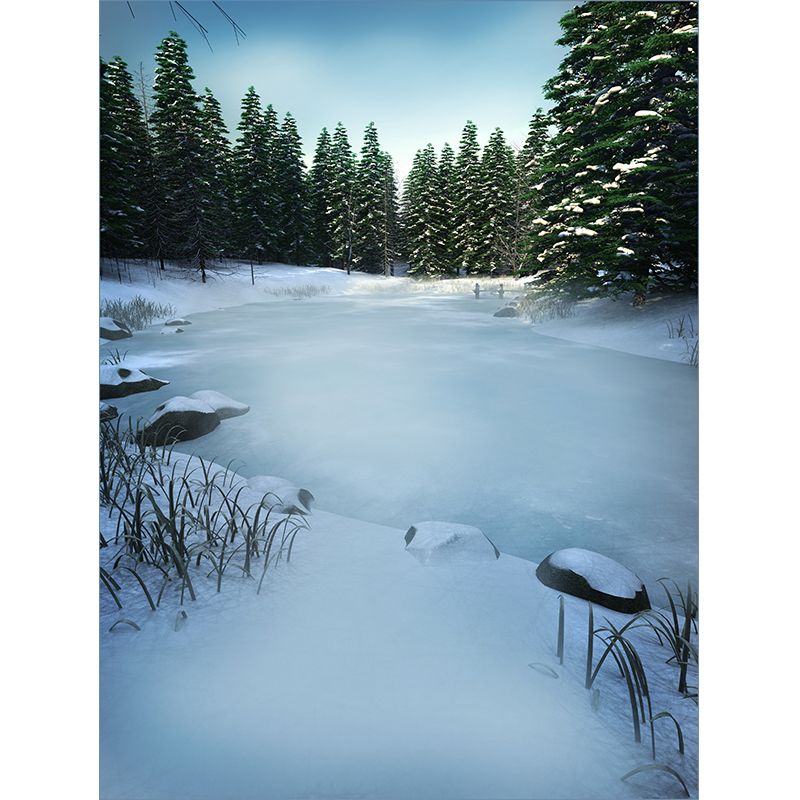 Home Decor Frozen River Mural Decal Customized Contemporary Wall Art for Kitchen