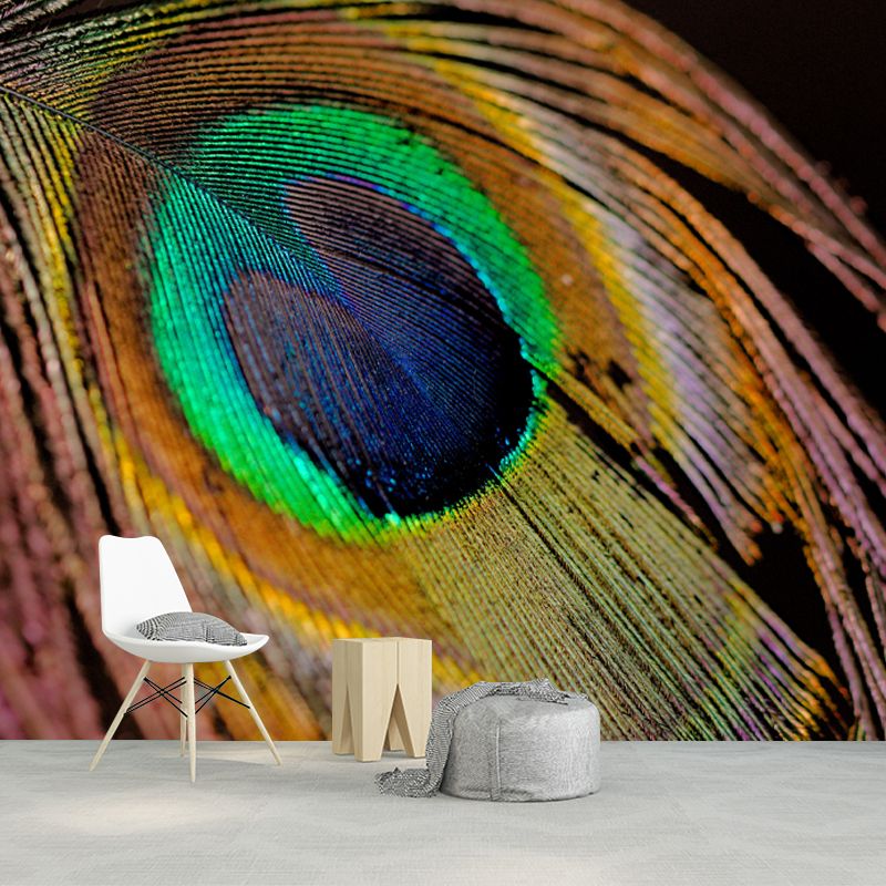 Peacock Feather Wall Covering Mildew Resistant for Sleeping Room, Customized Size