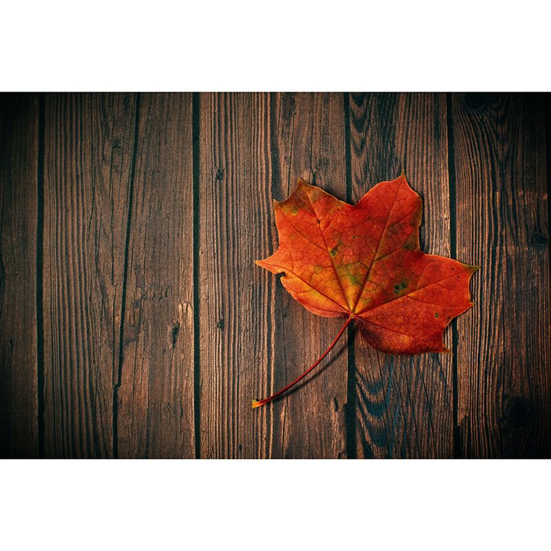 Photography Stain Resistant Mural Wallpaper Grain Living Room Wall Mural