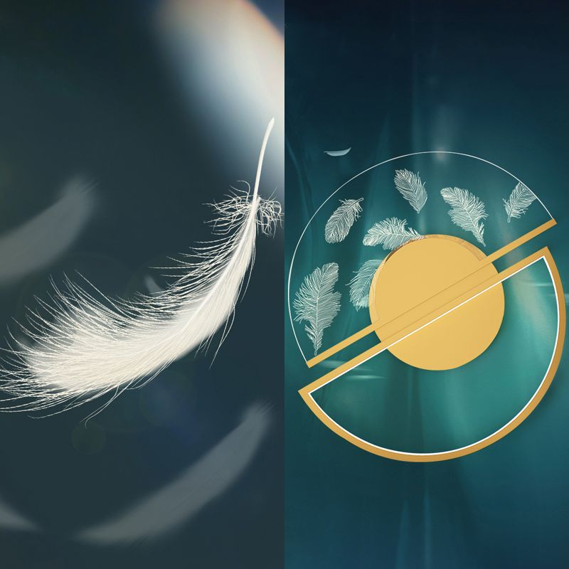 Gold Feather LED Flush Mount in Modern Creative Style Iron Circular Ceiling Light with Acrylic Shade