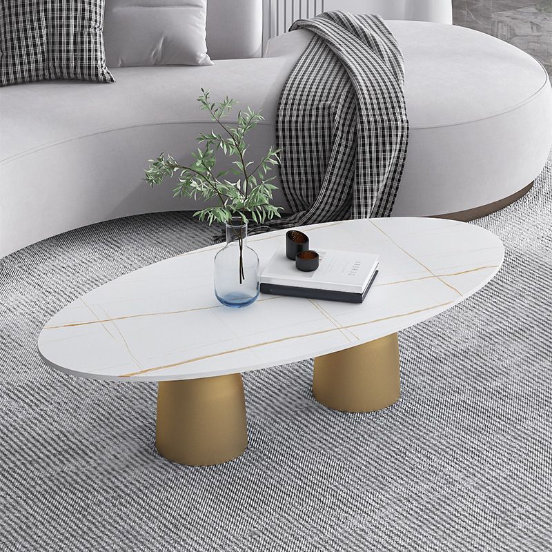 Glam 15.7"Tall Iron 2 Legs Oval Slate Table Top Coffee Table