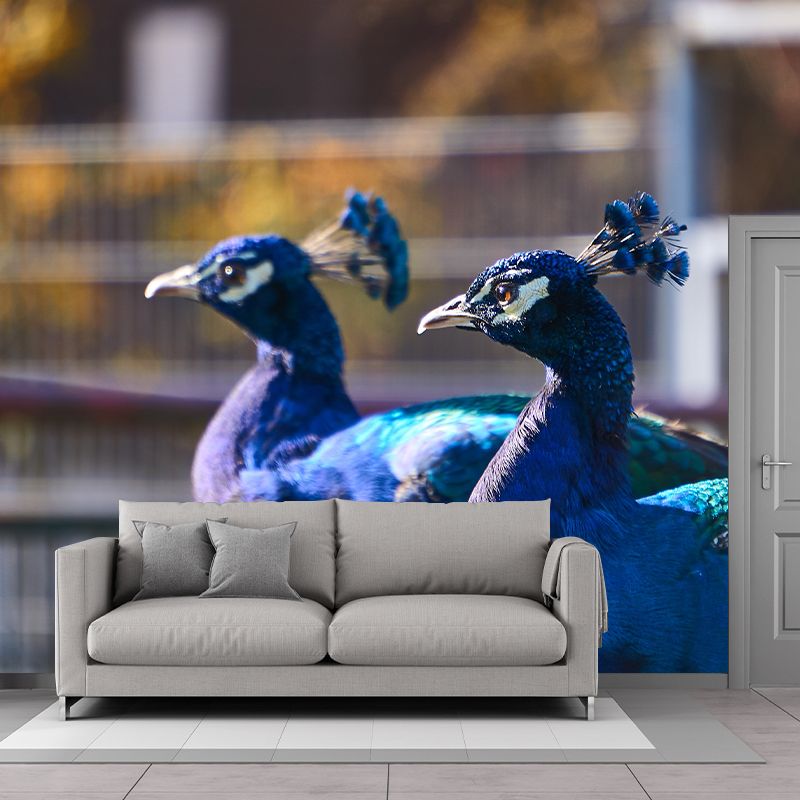 Blue Peacock Mural Decal Modern Style Washable Home Decor, Custom Size