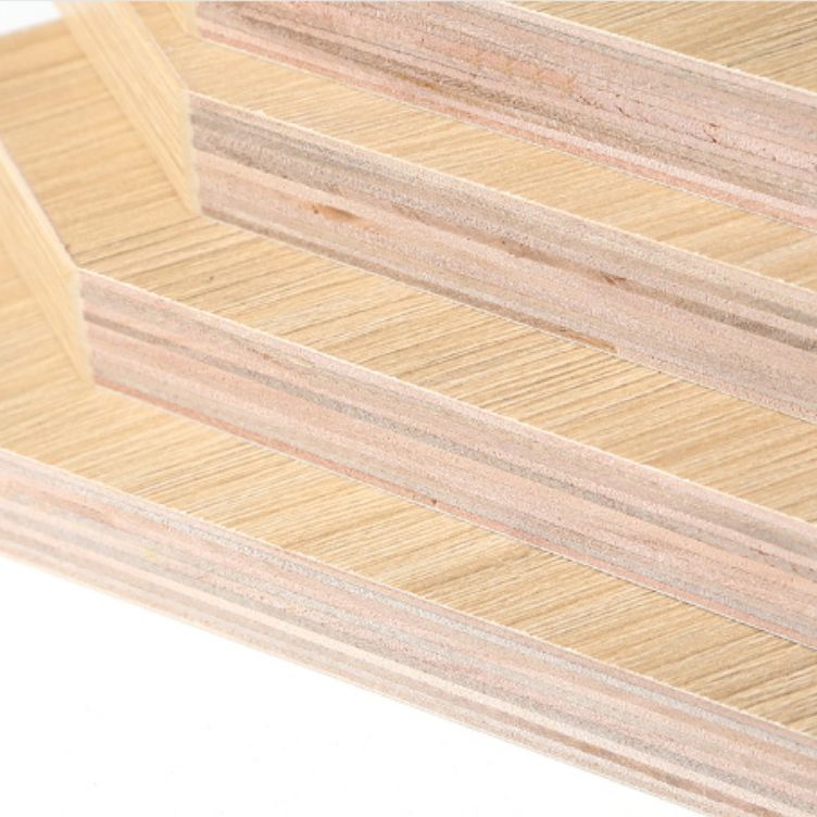 Contemporary Wood Bookshelf Closed Back Bookcase for Home Office