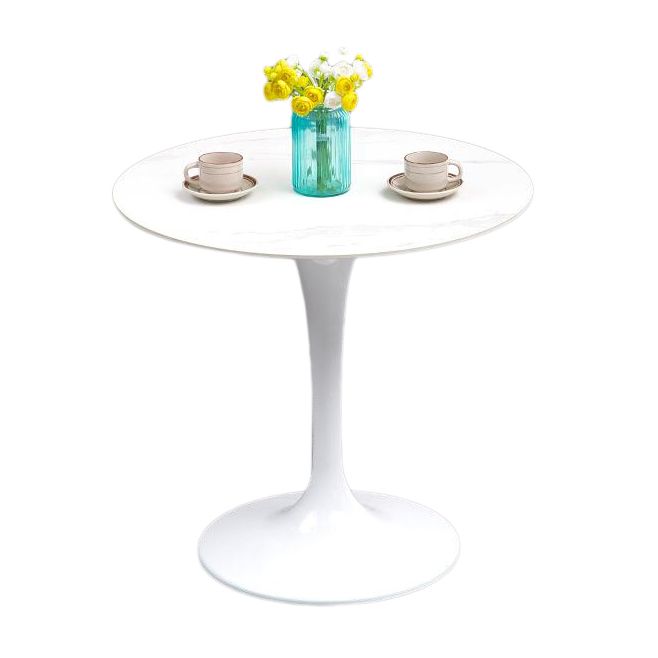 Modern Style Sintered Stone Scratch Resistant Dining Table Single Pedestal Base Round Table for Home