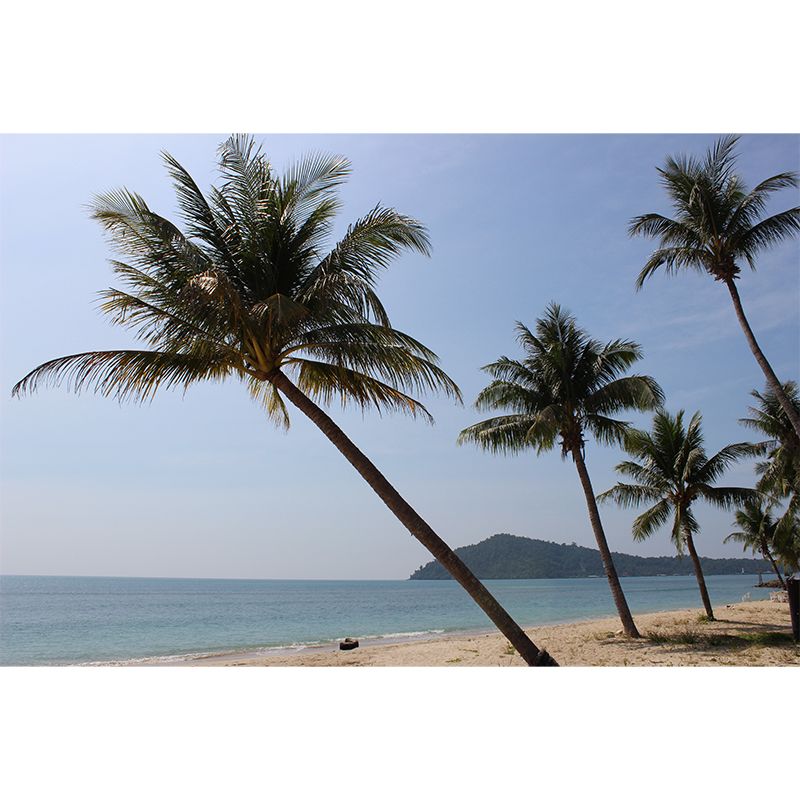 Sand of Beach Removable Wall Mural for Gust Room Bedroom, Moisture Resistant