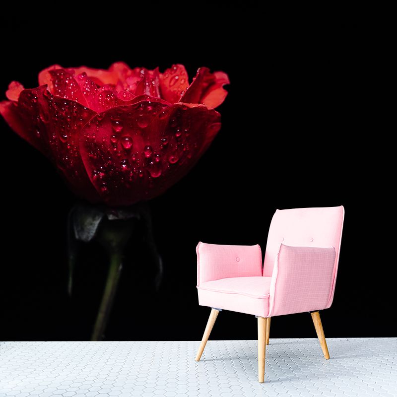 Photography Stain Resistant Wall Mural Wallpaper Roses Sitting Room Wall Mural