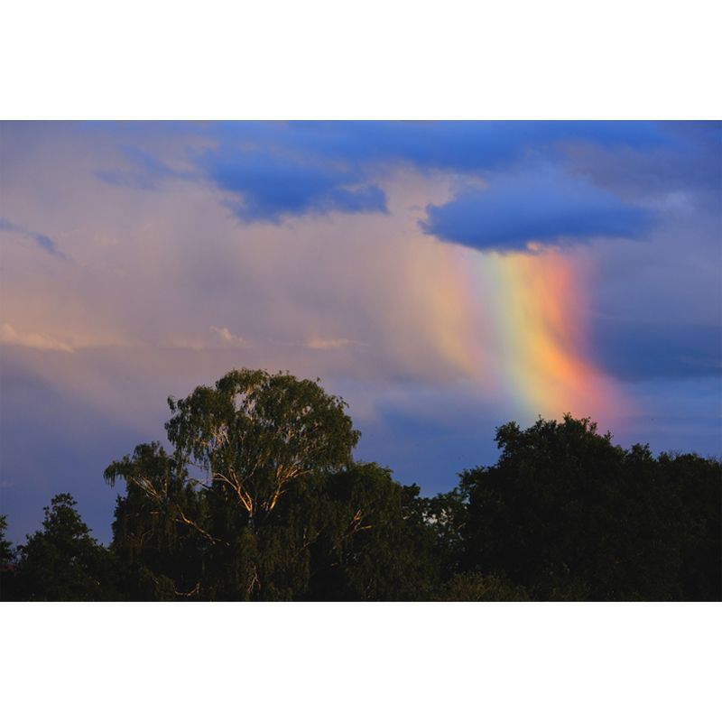 Sky with Rainbow Mural Wallpaper House Wall Covering, Custom Size Available