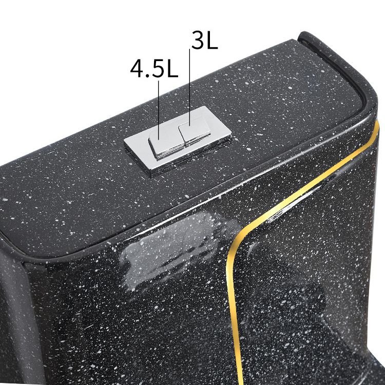 Floor Mount Flush Toilet Traditional One-Piece Toilet with Slow Close Seat