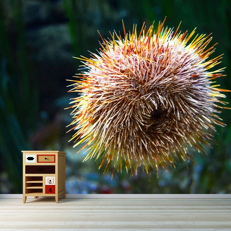 Sea Urchin Contemporary Mural Decal Sitting Room Moisture Resistant Wall Decor