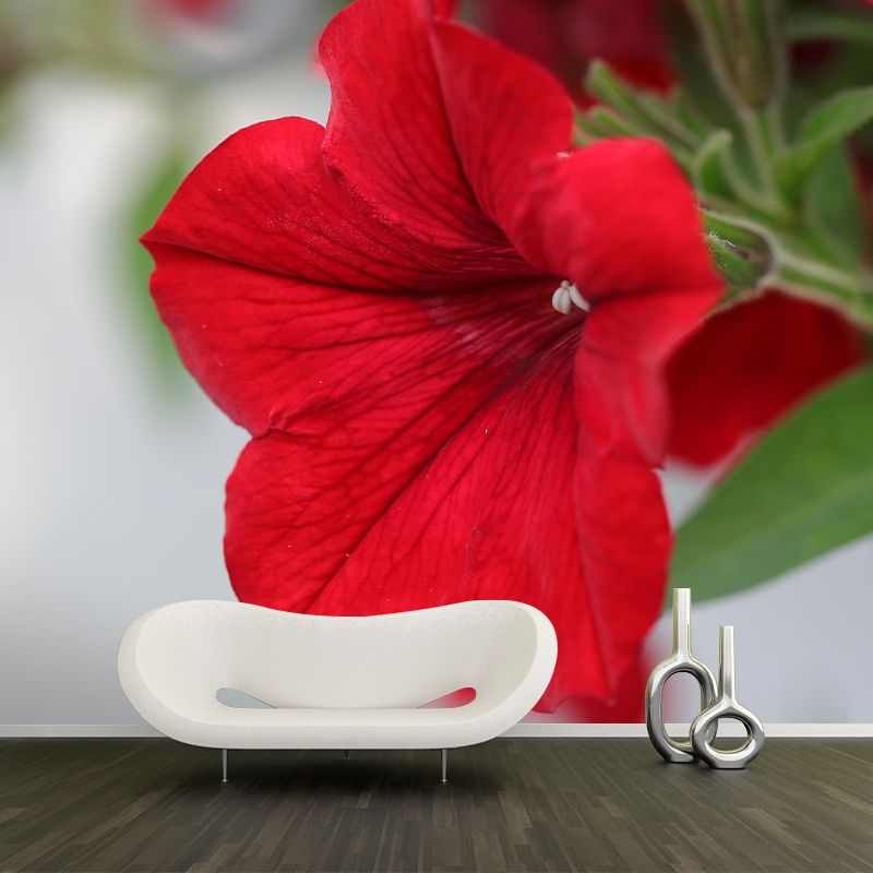 Contemporary Blooming Petunia Mural Wallpaper Environmental for Bedroom