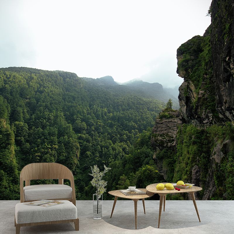 Landscapes Photography Wall Mural Mildew Resistant Photography Mountain Wallpaper