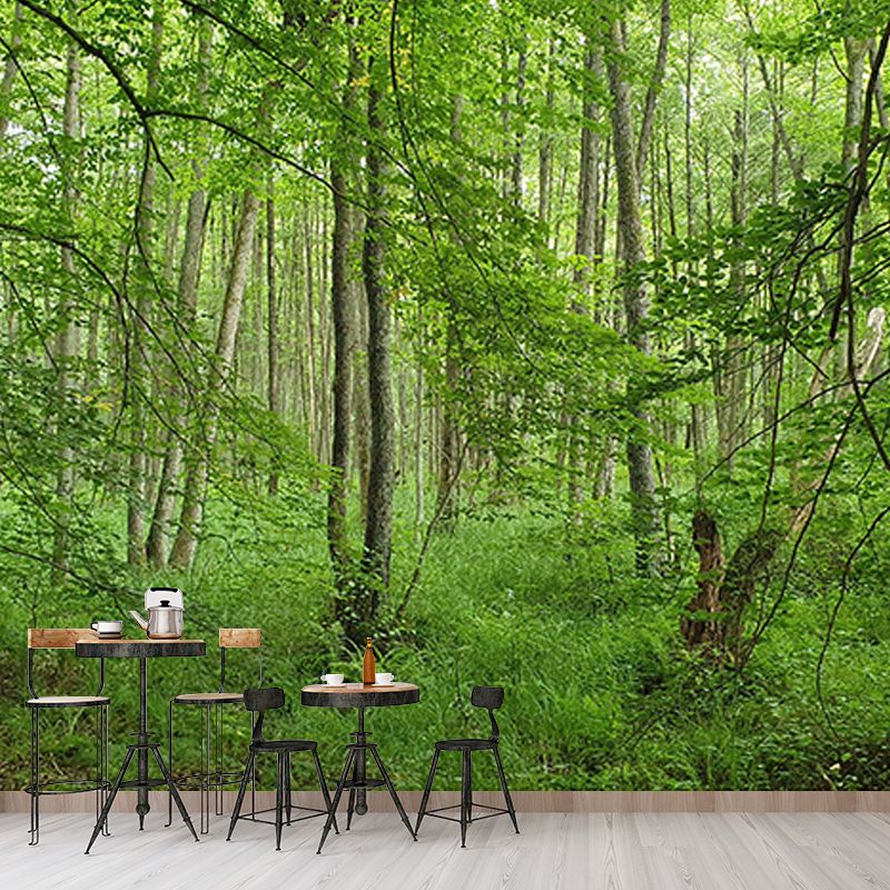 Environment Friendly Resistant Mural Wallpaper Quiet Forest Living Room Wall Mural