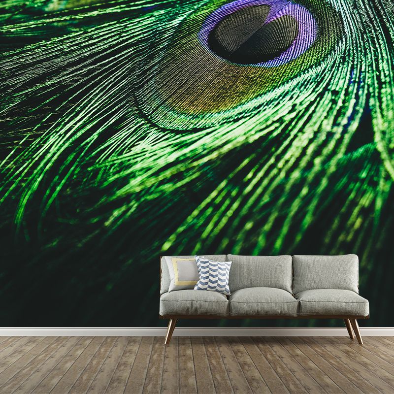 Peacock Feather Modern Wallpaper Decorative Living Room Wallpaper