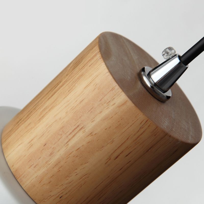 Indoor Nordic Pendant Light Modern Simple Creative Single Pendant Light for Restaurant Coffee Shop