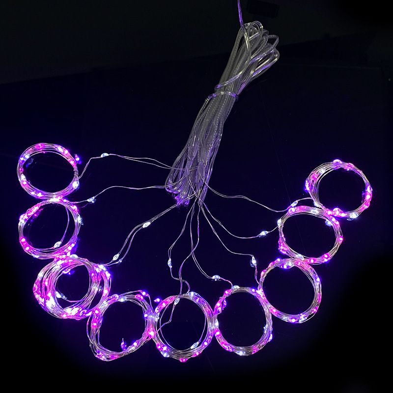 9.8ft Copper Wire LED Light Strip Decorative Indoor Curtain Lights with Hook and Remote