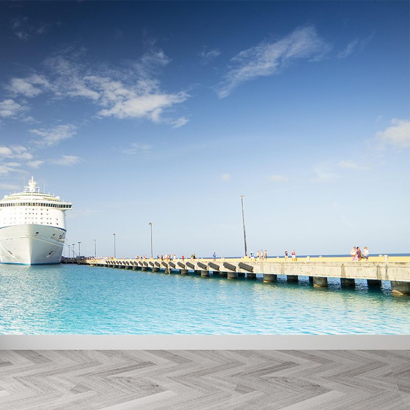 Cruise-Ship Mural Decal Customized Contemporary Wall Covering for Meeting Room