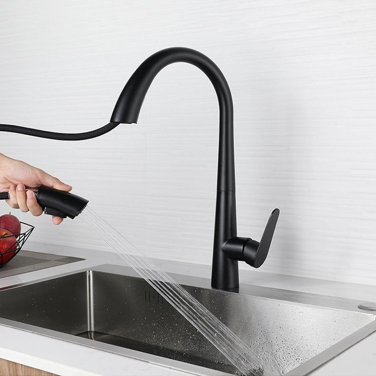 Modern Retractable Kitchen Faucet Stainless Steel Single Handle High Arc Kitchen Faucet