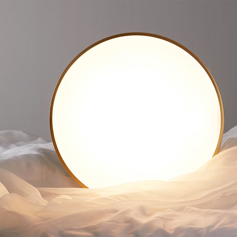 Circular Led Flush Mount Ceiling Light Fixtures Modern Acrylic Flush Mount