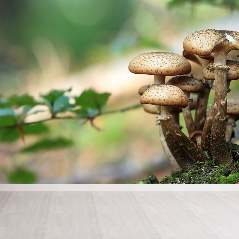 Mushroom Plant Modern Style Mural Environment Friendly Wallpaper for Home Decor