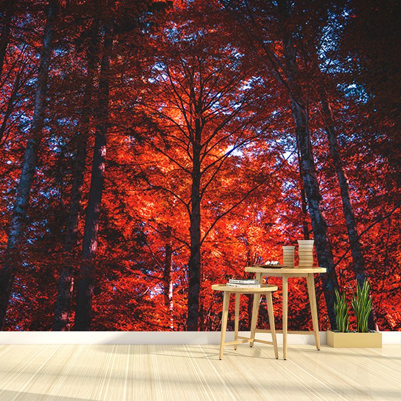 Quiet Forest Photography Mural Wallpaper Decorative Bedroom Wall Mural