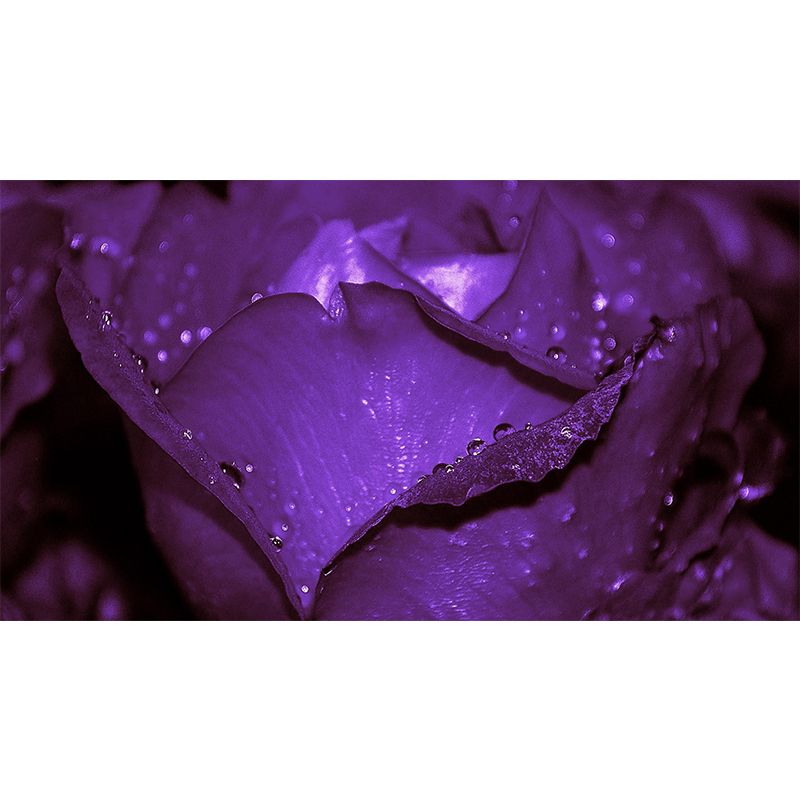 Flowers Stain Resistant Mural Washable Wallpaper Sitting Room Wall Mural