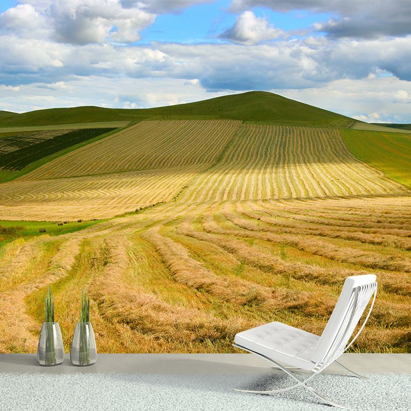 Contemporary Wheat Field Wall Mural Soft Color Waterproofing Wall Art for Gust Room