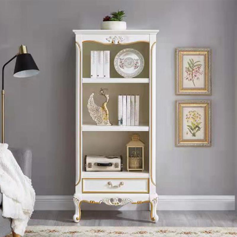 Contemporary Wooden Bookcase Standard Closed Back Bookshelf with Shelves