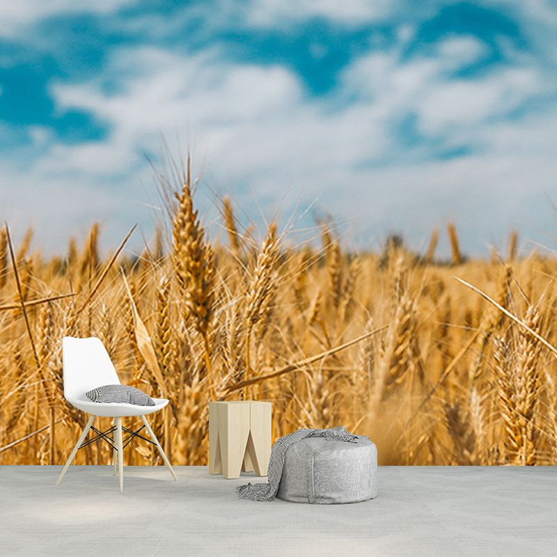 Beautiful Photography Mural Wallpaper Wheat Field Indoor Wall Mural