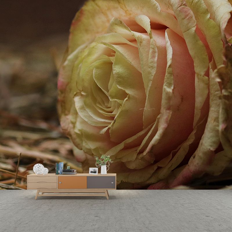 Modern Style Wall Mural Wallpaper Roses Sitting Room Wall Mural