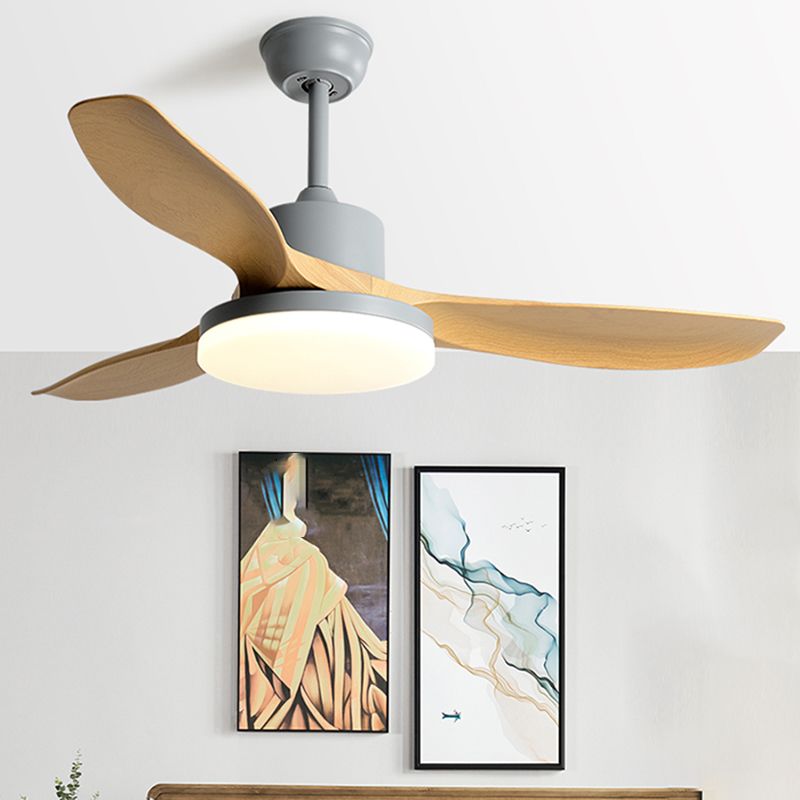 1 - Light Contemporary Ceiling Fan 3 - Blades Fan Light for Room
