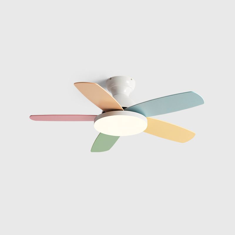 Éventail de ventilateur coloré à 5 lames