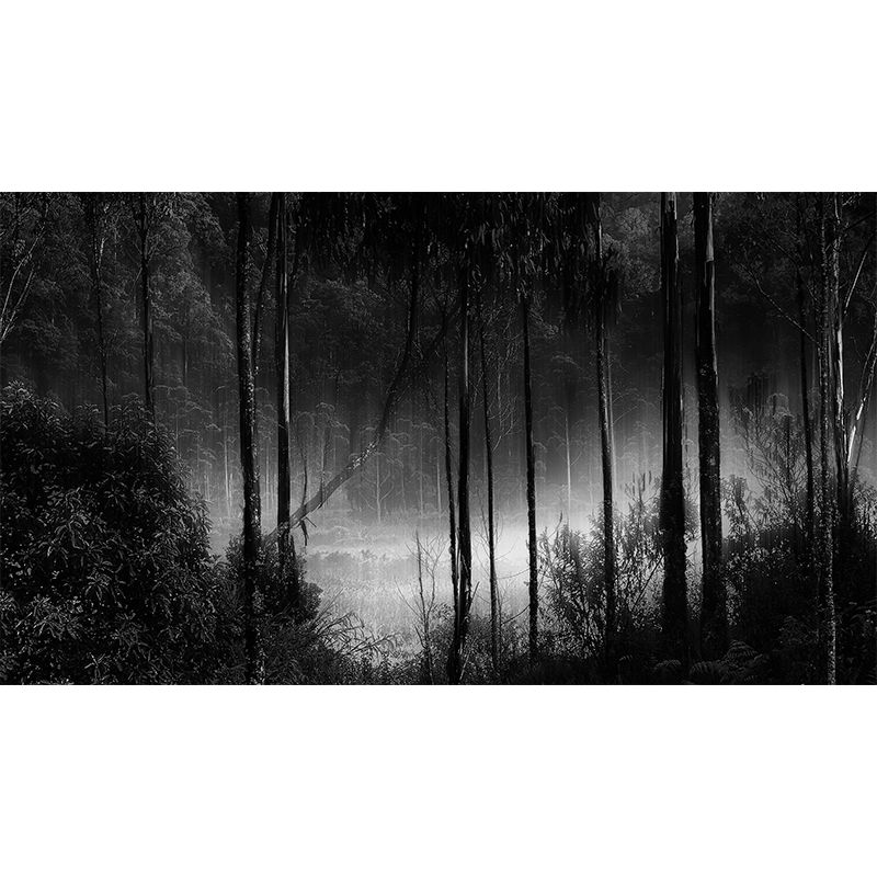 Forest Moisture Resistant Mural Wall Covering for Bedroom Wall Decor