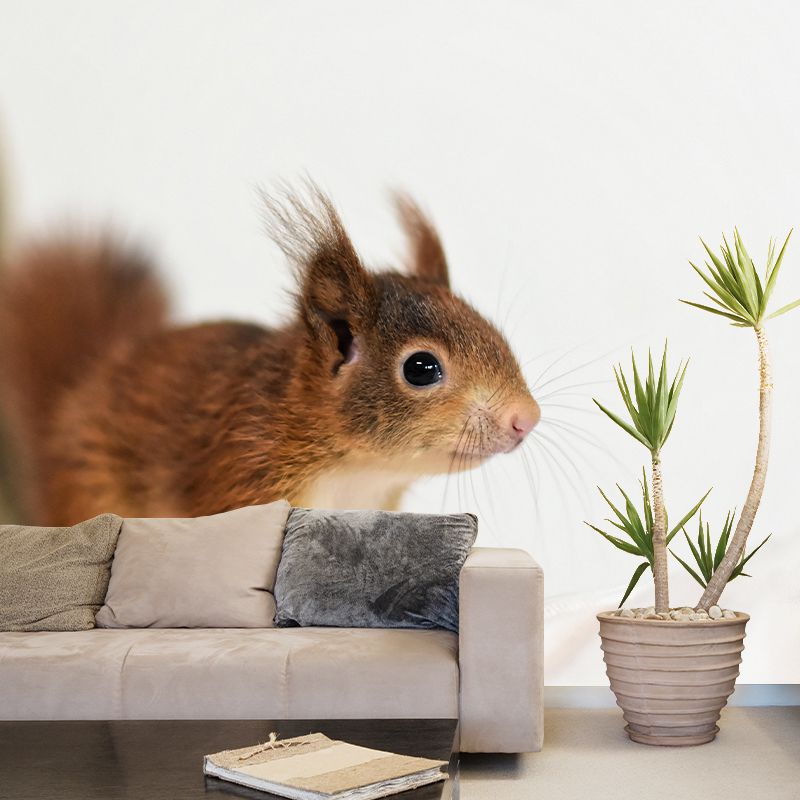 Customized Squirrel Wall Mural Wallpaper Horizontal Photography for Sitting Room