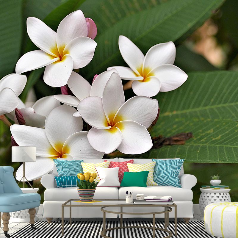 Customized Plumerias Flower Wall Mural Horizontal Photography for Sleeping Room