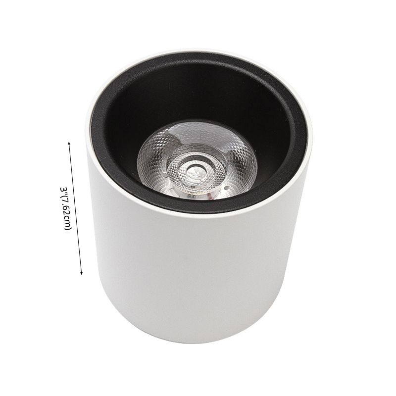 Cilindrische Aluminium Flush Mount Eenvoud Led oppervlak Mount Plafond Licht voor Foyer