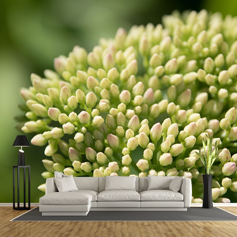 Green Plants Mural Wallpaper for Reading Room Waterproofing, Custom Size Available