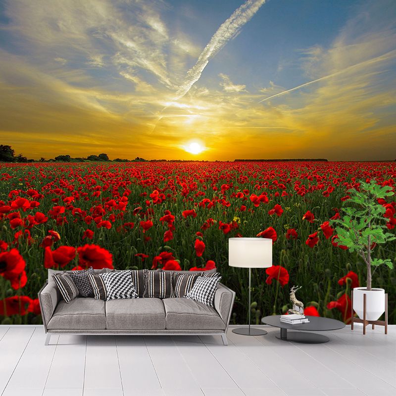 Full Size Photography Modern Mural Decal with Blossoming Poppy for Living Room