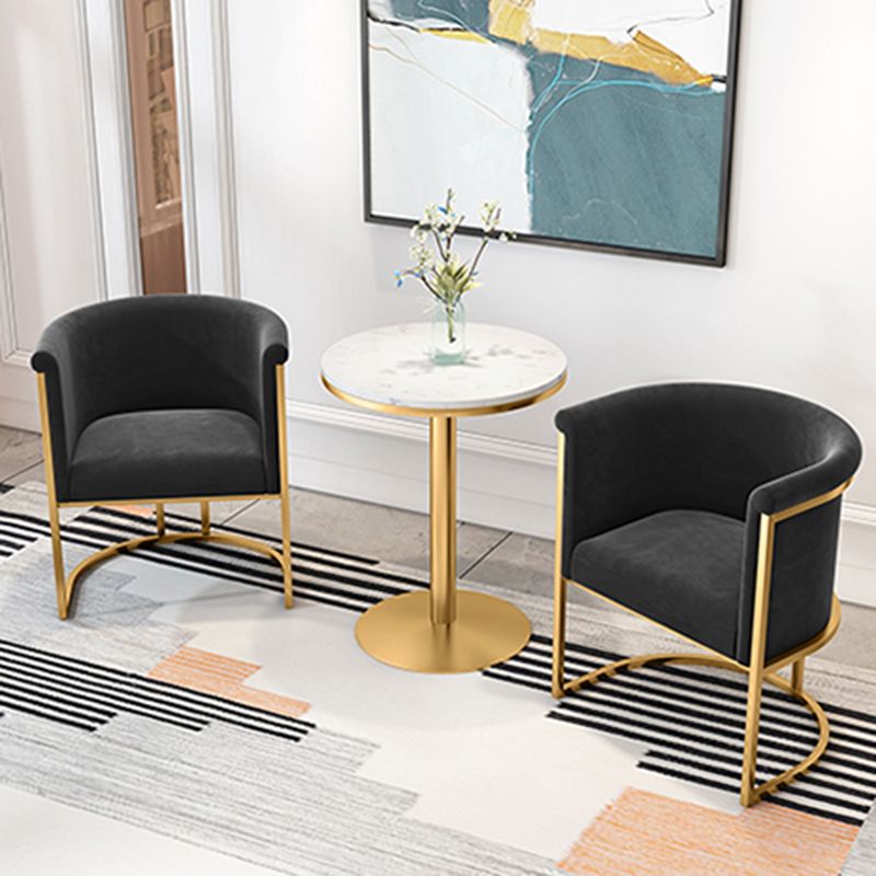 Parsons Velvet Arm Chair Velvet Gold Base Dining Chair for Dining Room