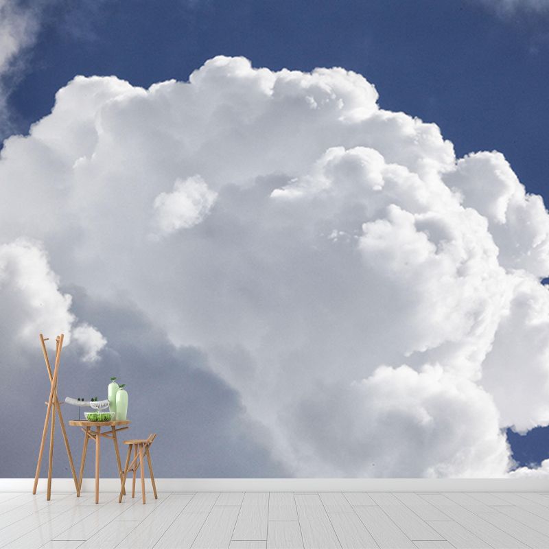 Photography Mildew Resistant Sky Mural Living Room Wall Mural