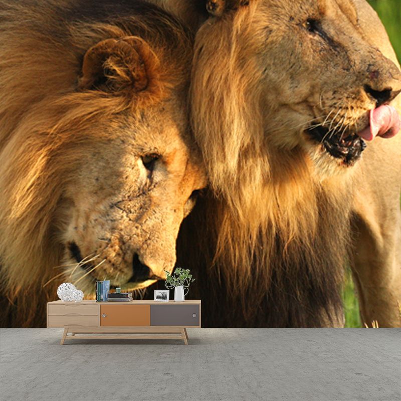 Whole Grassland Lions Mural Wallpaper for Bedroom Wild Animal Wall Art in Brown, Washable