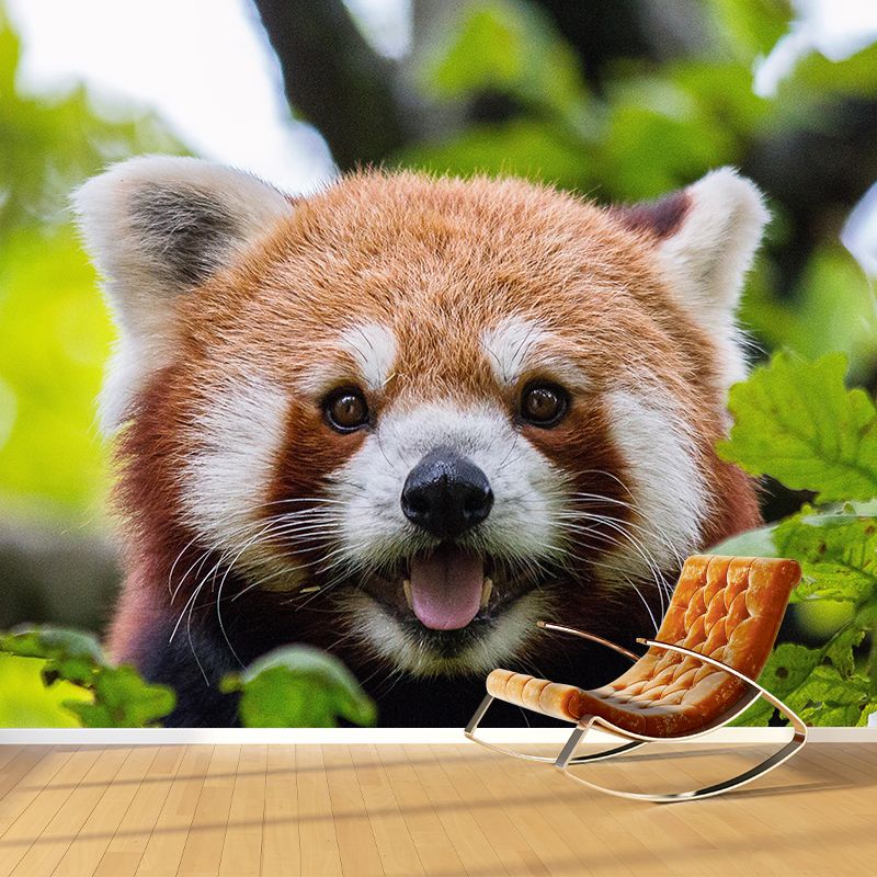 Modern Style Red-Panda Mural Wall Decor Mildew Resistant Living Room Wall Mural Wall Art