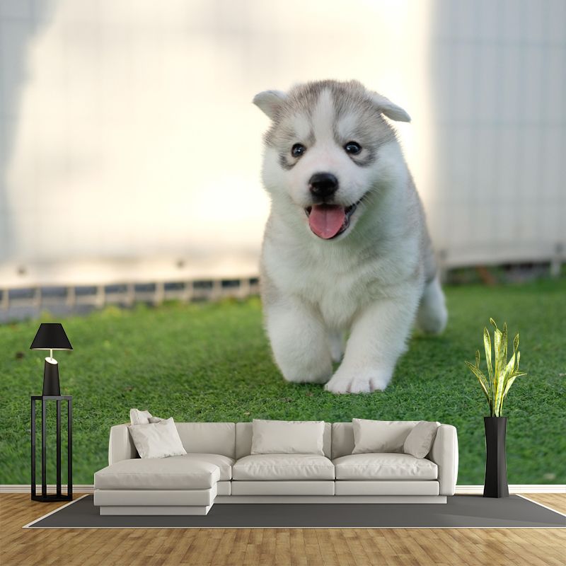 Lovely Husky Mural Wall Decor Living Room Wall Covering for Decoration