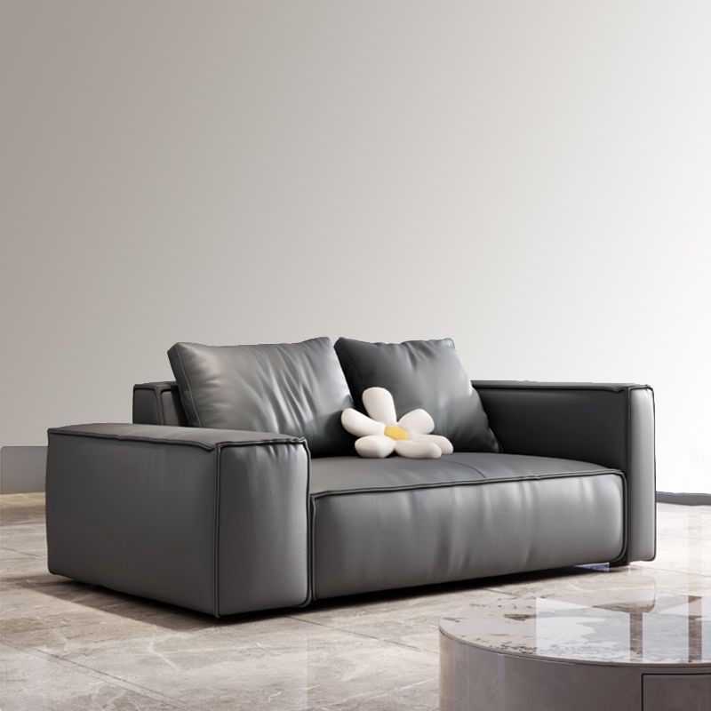 Genuine Leather Pillowed Back Cushions Sofa and Sectional with Wear Resistant