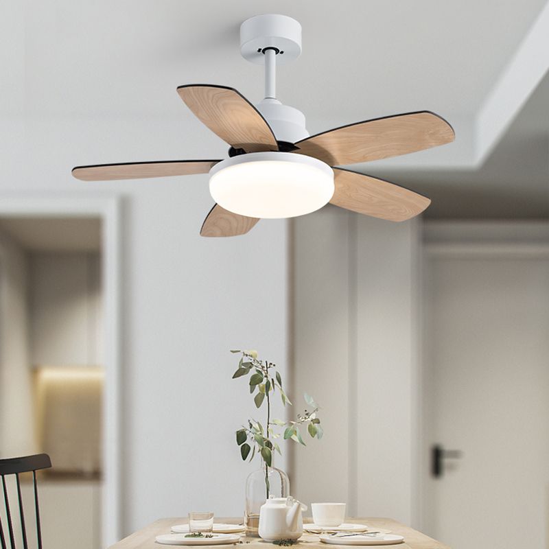 Ventola del soffitto rotondo leggero in stile children 1 1 lampadina a LED LED per camera da letto