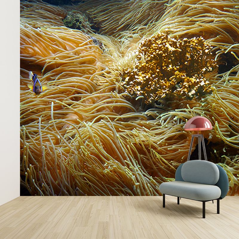 Beautiful Photography Seabed Mural Eco-friendly Wallpaper for Room