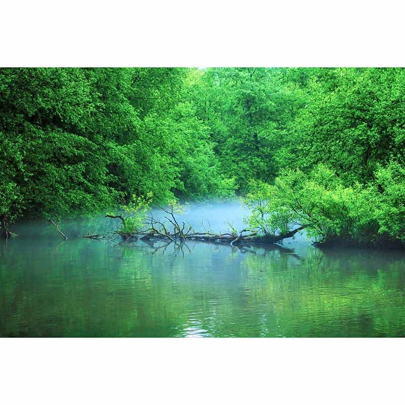 Mildew Resistant Wall Mural Wallpaper Forest Landscapes Pattern for Decoration