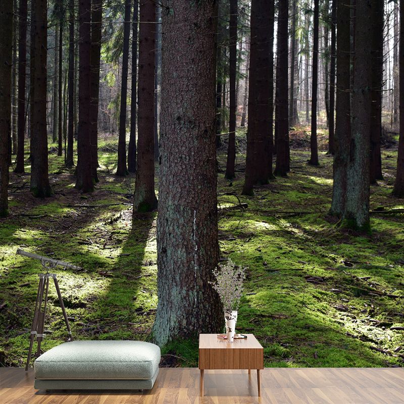 Forest Mural Wallpaper Photo Horizontal Mildew Resistant for Living Room