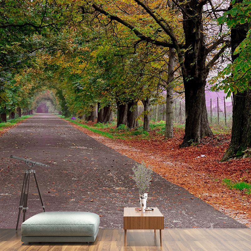 Space Extension Bedroom Mural Wallpaper Photography Mildew Resistant